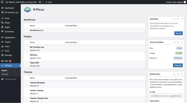 WPScan 报告