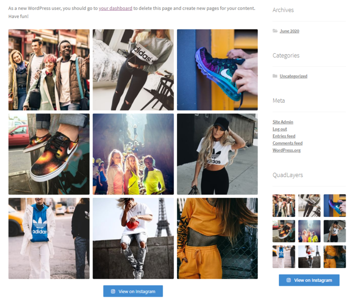 wordpress'i instagram ile entegre edin - widget kenar çubuğu