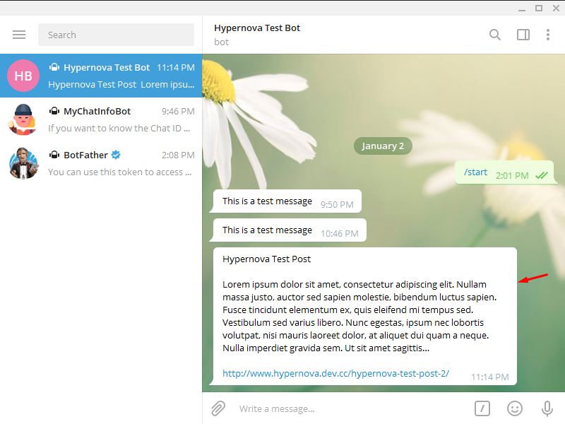 Adăugați Telegram la WordPress - Test cu succes