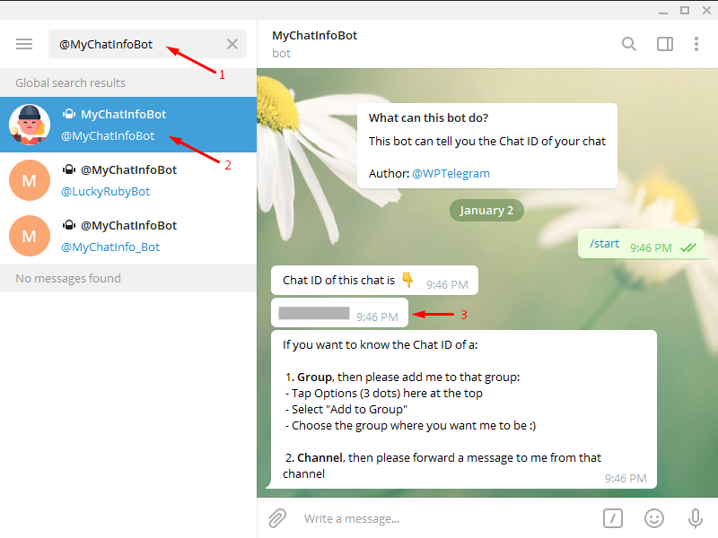 Adăugați Telegram la WordPress - ID de chat