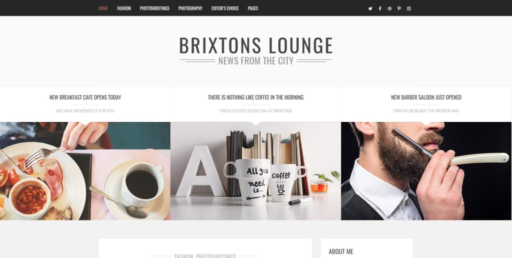 brixton meilleurs thèmes wordpress instagram
