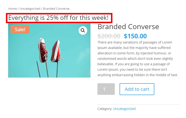 ตัวอย่างคำอธิบายผลิตภัณฑ์เดียว ปรับแต่งเทมเพลต woocommerce