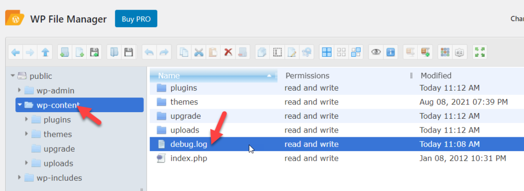 registro de depuración de contenido wp