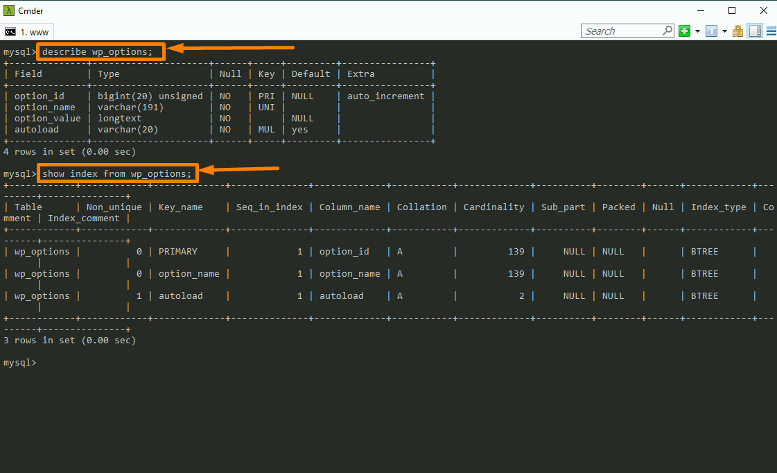 WordPress Database Connect über CLI -5