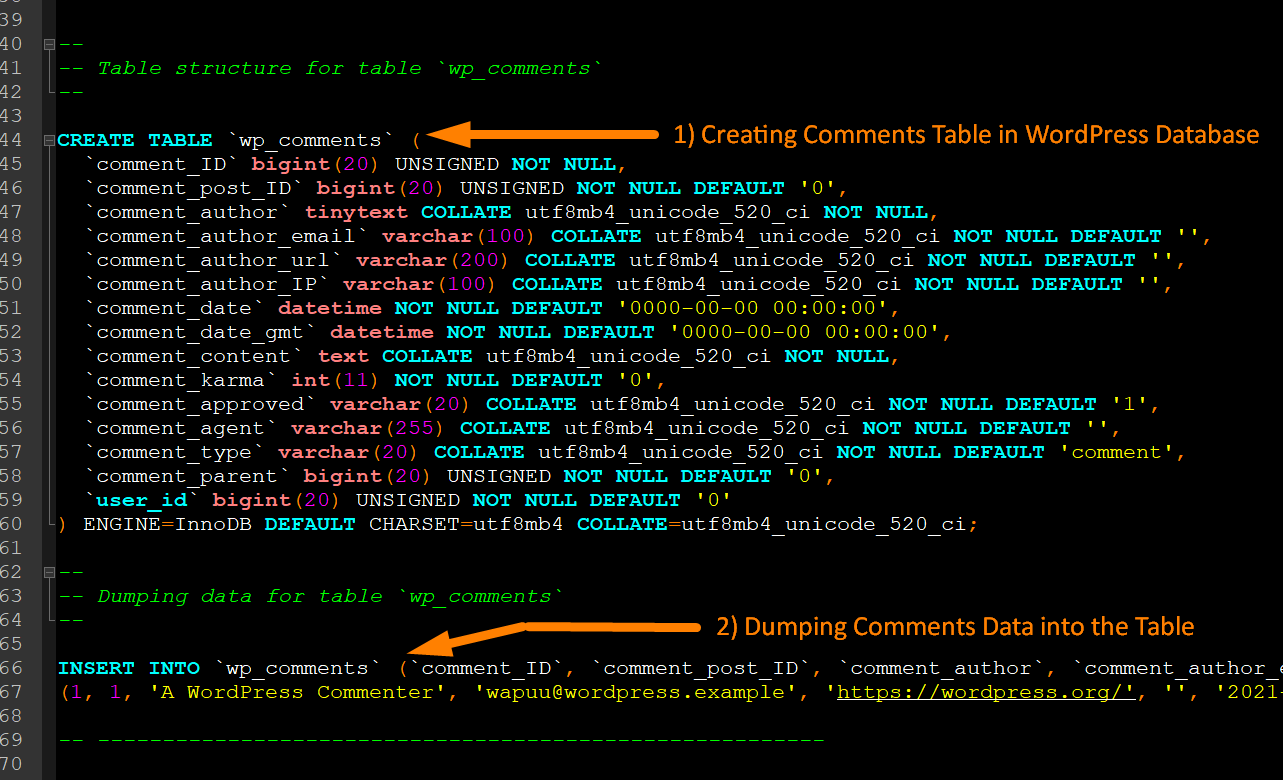 WordPress-Datenbankexport - Export -5