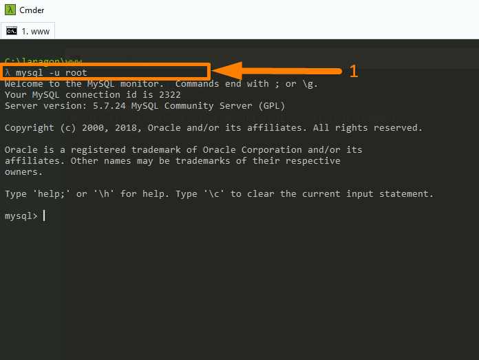 Verbindung zur WordPress-Datenbank über CLI -2