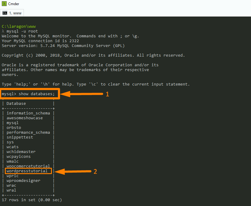 WordPress Database Connect über CLI -3