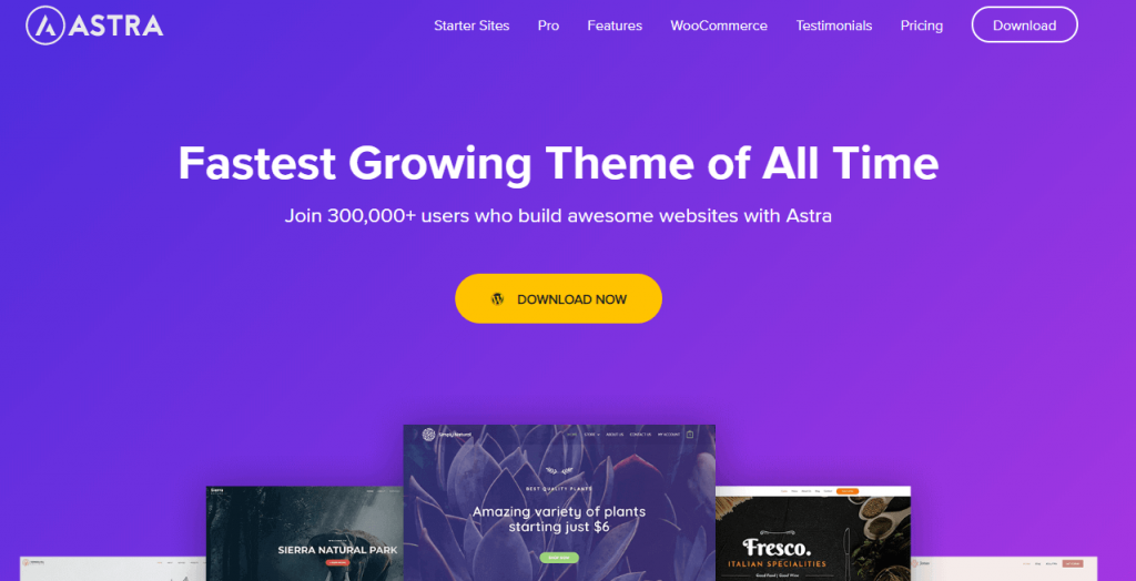 Tema Mana yang Paling Cocok Dengan Elementor (10+ Tema Elementor Populer) 4 Astra- best theme for Elementor