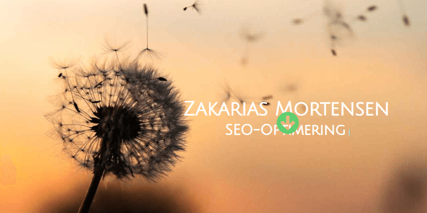 Pembuat Halaman Elementor untuk Blog WordPress: Fitur Utama dengan Contoh Langsung 3 Zakarias-Built-With-Elementor-Page-Builder