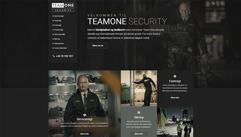 I 10 migliori siti realizzati con Elementor Page Builder 9 Team One Security