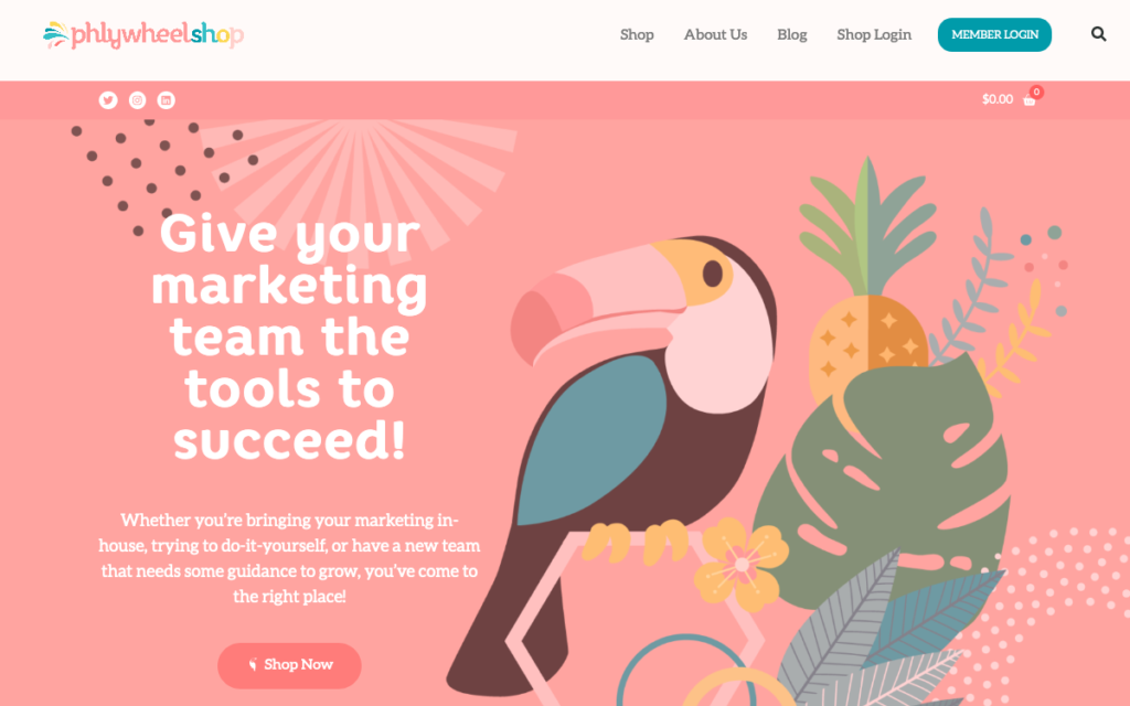 I 10 migliori siti creati con Elementor Page Builder 6 The Plywheel Shop