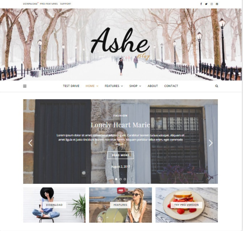 Elementor5に最適な6つのWordPressテーマ Beginner Friendly Elementor WordPress Theme
