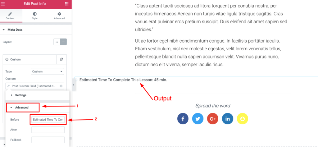 Cum să creezi un site web de curs online în WordPress utilizând Elementor (Tutorial și Ghid de planificare prealabilă) 22 Add a label to your custom field
