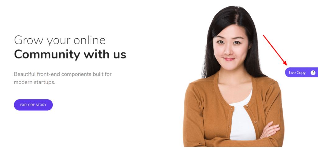 Template Desain Situs Web Paling Berguna: Bentuk Ide Anda dalam Menit 4 Copy a design
