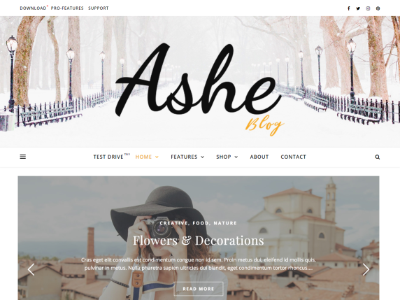 أفضل 10 ثيمات ووردبريس مجانية للأعمال 11 Free WordPress Blog Theme