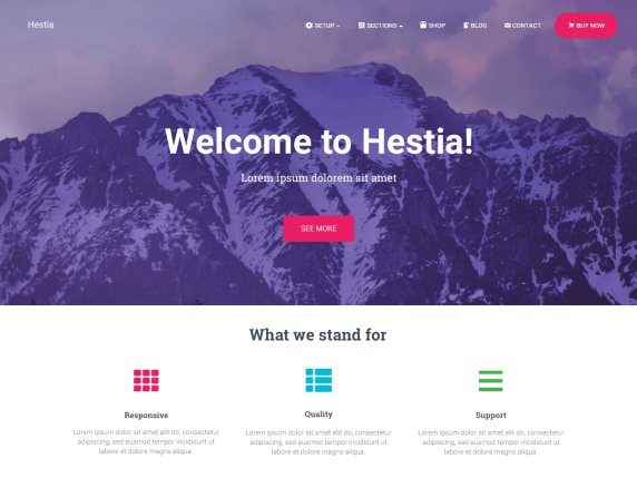 أفضل 10 ثيمات ووردبريس مجانية للأعمال 3 Hestia free business theme for professional