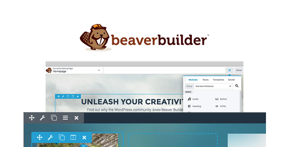 Beaver Builder vs Elementor - który wybrać dla swojej witryny? 7 designing with beaver builder