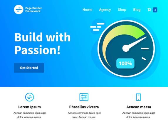 Los 10 mejores temas GRATUITOS para Elementor: personalice su sitio web con extrema facilidad 2 Page Builder Framework- Build with Passion