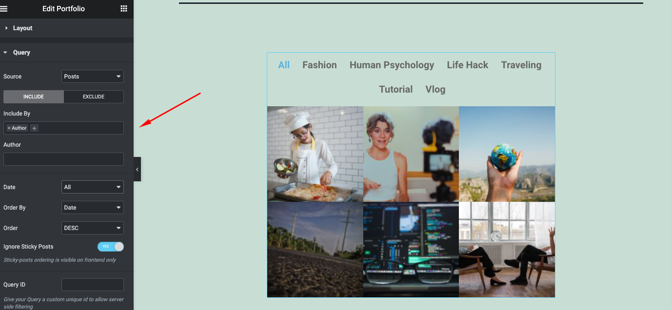 Comment personnaliser le menu de navigation Elementor et le widget de portefeuille Elementor (tutoriel) 26 Set your query