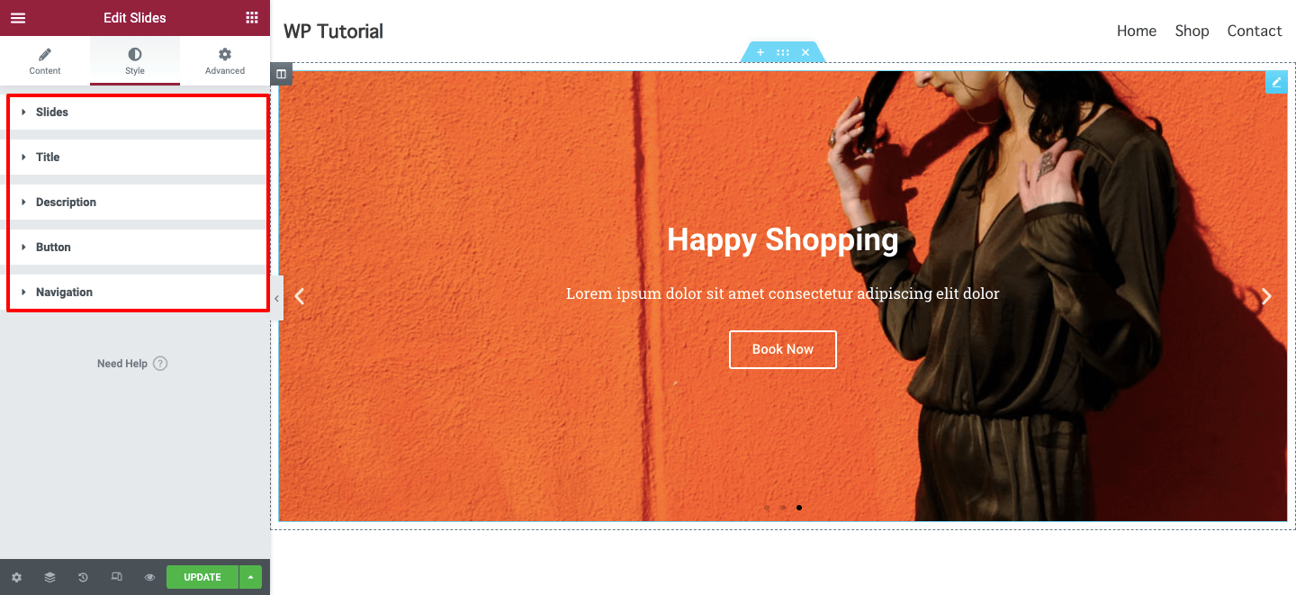 Elementor SliderWidget8を使用してWebサイトをより魅力的にする方法 Style Options of Elementor Slides