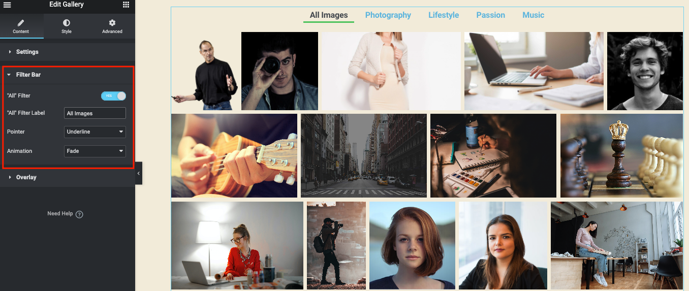 اعرض صورك بأفضل طريقة ممكنة باستخدام عنصر واجهة معرض صور Elementor 21 Settings