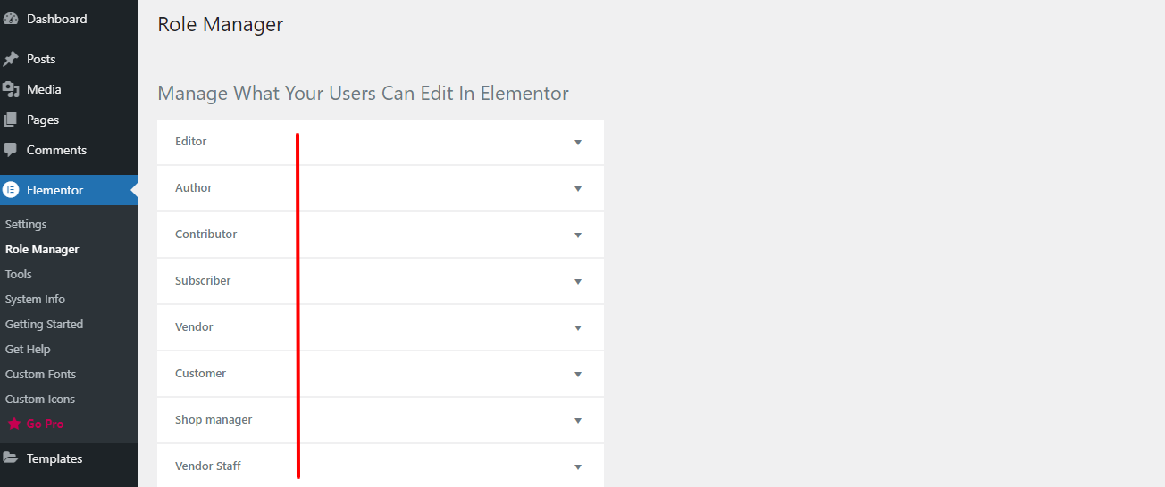如何使用 Elementor:初学者终极指南 8 Role Manager