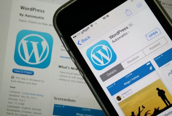 Baca lebih lanjut tentang WordPress yang mencapai angka 30 persen
