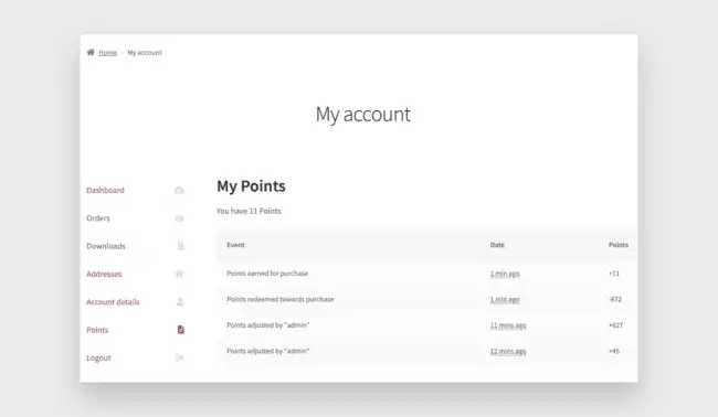 หน้าจอ My Points ในแดชบอร์ดบัญชีของฉัน