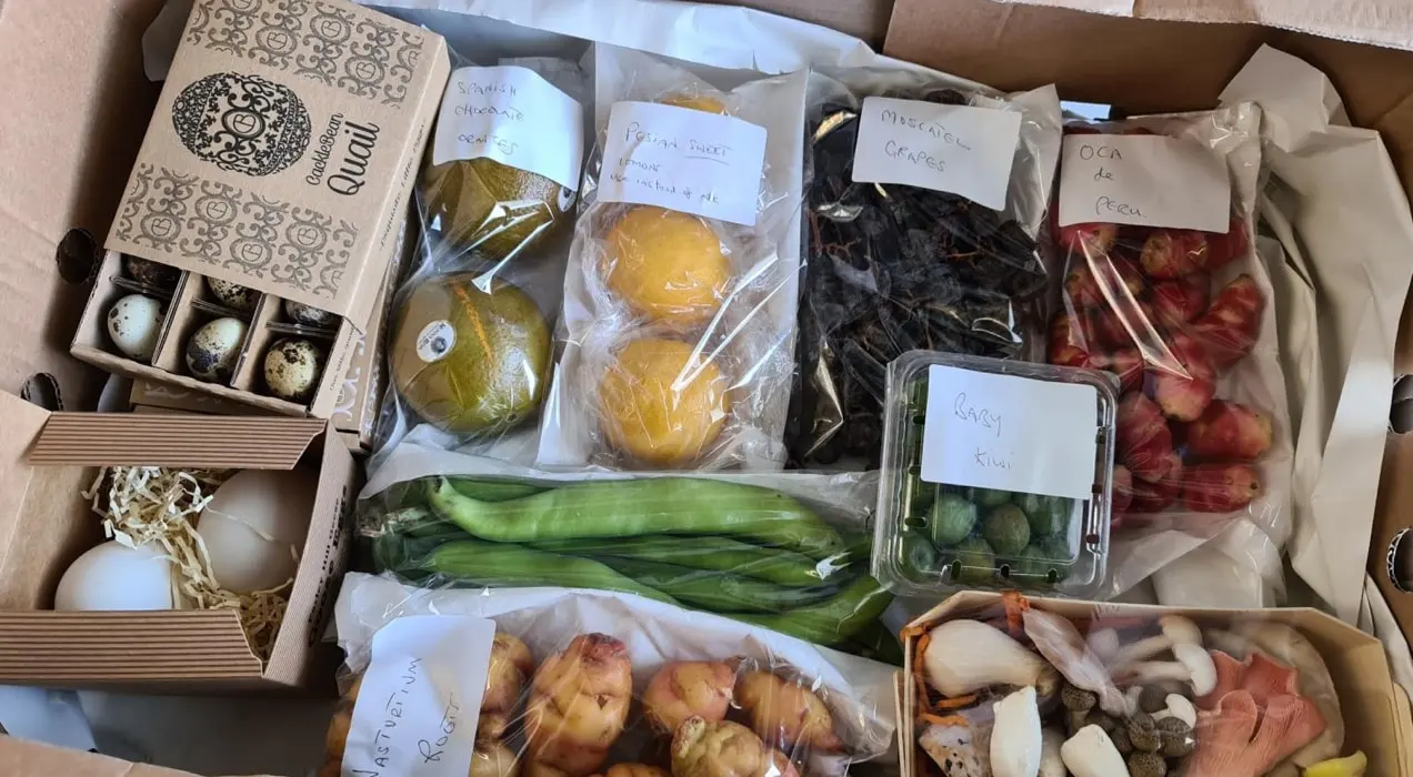 caja de comida de First Choice con frutas, verduras y huevos