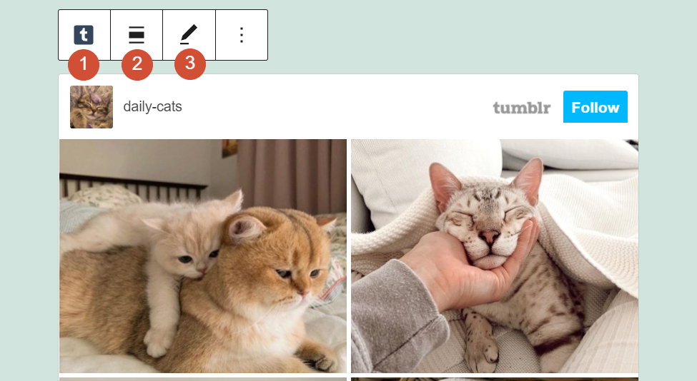 Tumblr 块的格式菜单