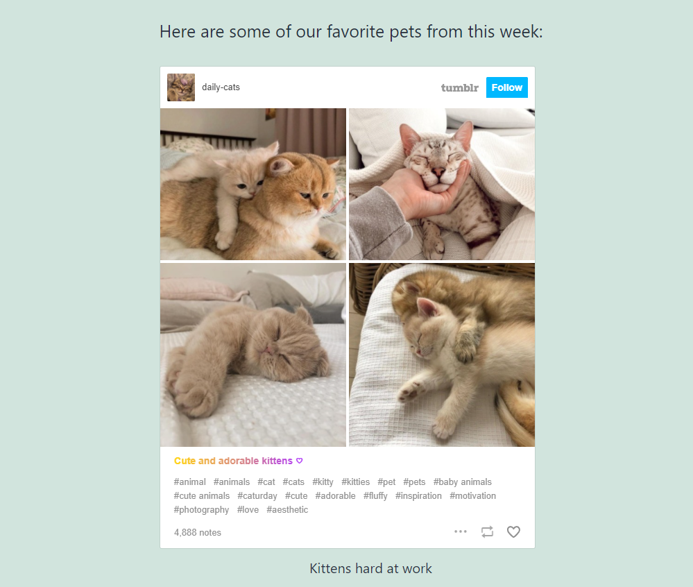 Tumblr 嵌入块的前端示例