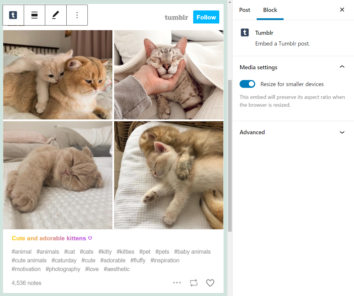WordPress 中的嵌入式 Tumblr 帖子