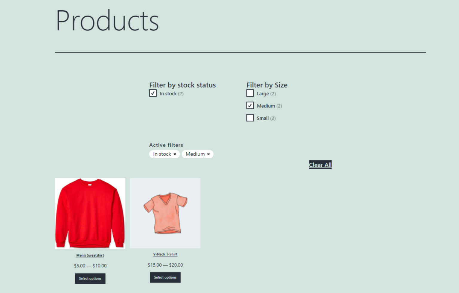 Sklep WooCommerce z zastosowanymi filtrami.