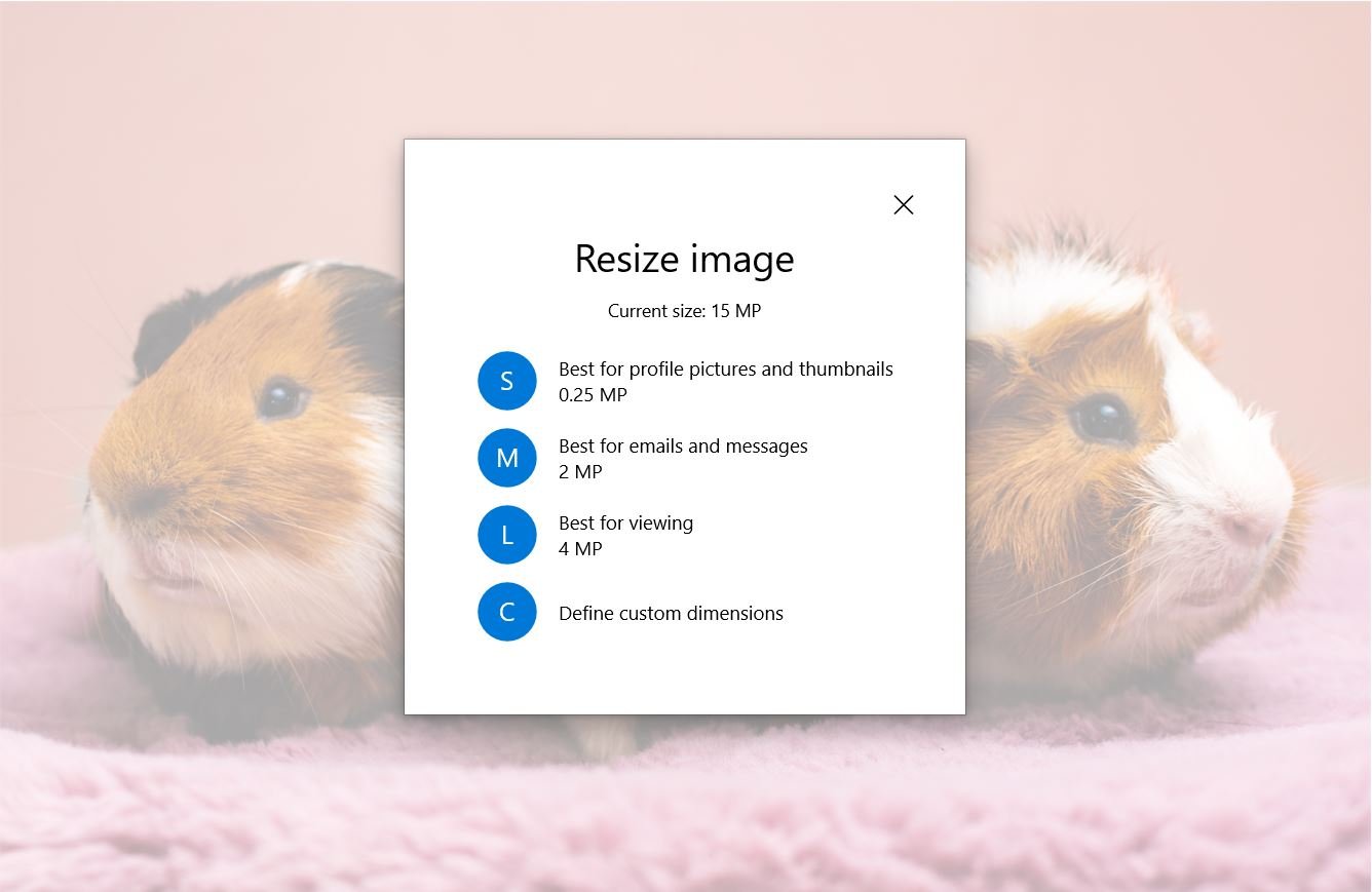 การปรับขนาดตัวเลือกรูปภาพใน Windows