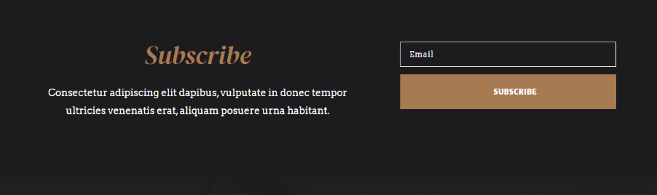 reCAPTCHA sur le Front End