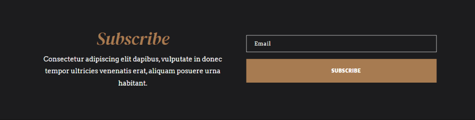Divi Email Optin Layout Possibilità Uno