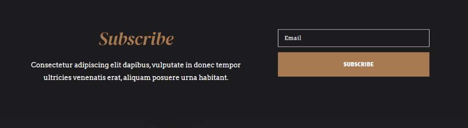 Possibilità di layout optin email Divi