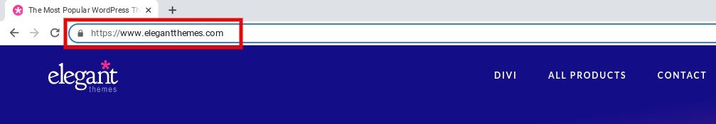 เว็บไซต์ Elegant Themes เป็นตัวอย่าง URI คืออะไร