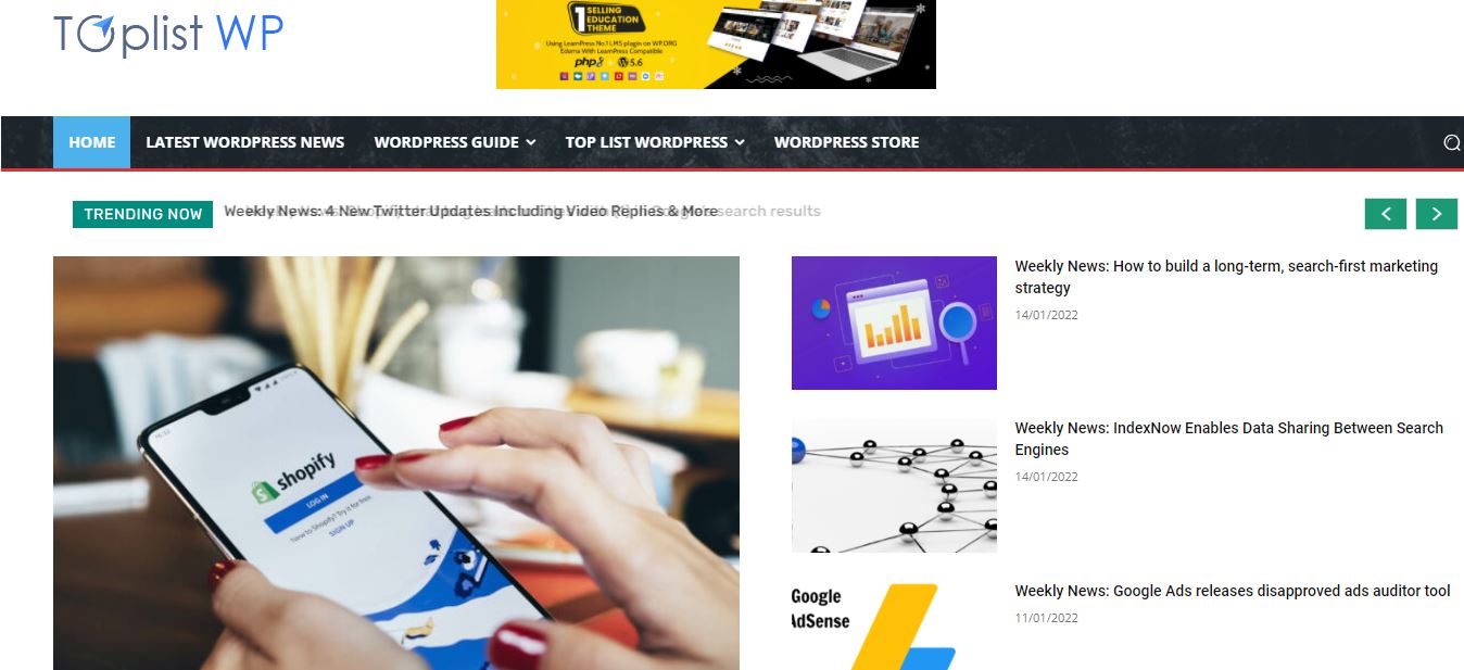 WordPress에 대한 toplistwp 블로그