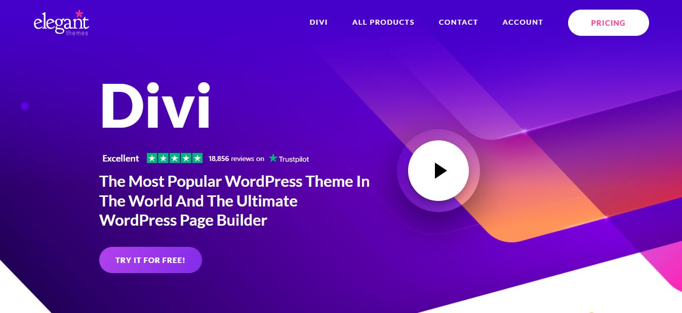 divi 포트폴리오 워드프레스 테마 빌더