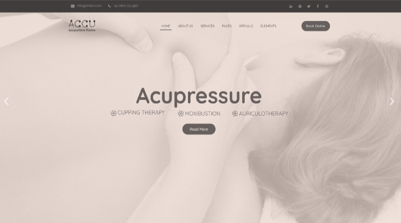6 Temi WordPress ayurvedici energizzanti 7 Accu WordPress Theme