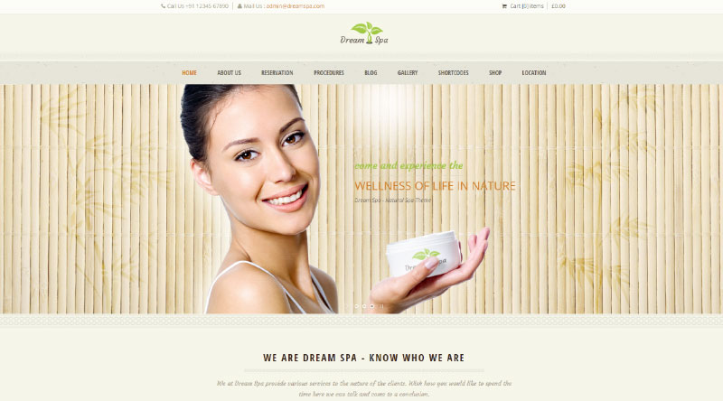 6 Temi WordPress ayurvedici energizzanti 6 Dream WordPress Theme