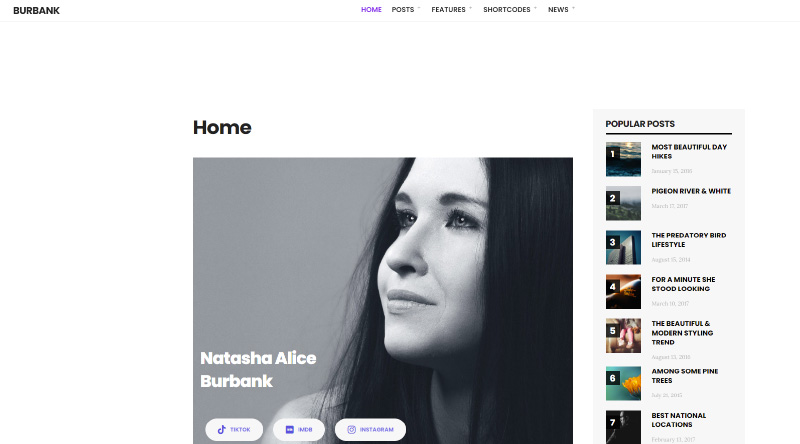 10 موضوعات ترفيهية لا تُنسى في ووردبريس 8 Burbank WordPress Theme