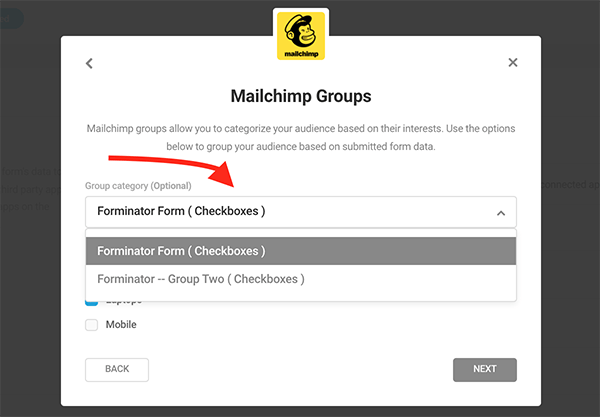 Mailchimpグループセクション。