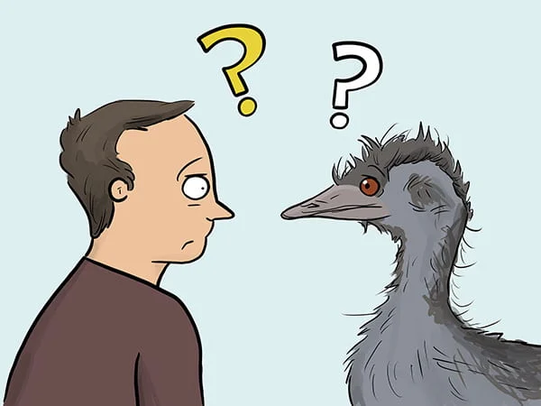 MUプラグインとは何ですか？