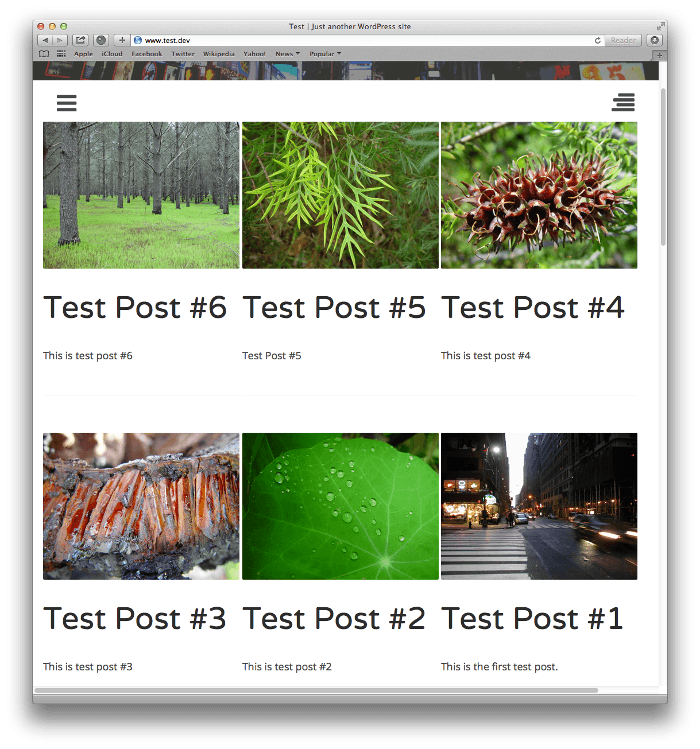 Screenshot von Post-Listings mit Grid-Styling