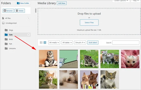 Screengrab ของไลบรารีสื่อ WordPress ที่ติดตั้งปลั๊กอิน FileBird