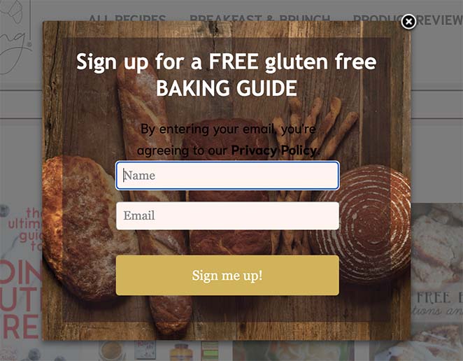 ricetta-piombo-calamita-esempi - SeedProd recipes lead magnet example