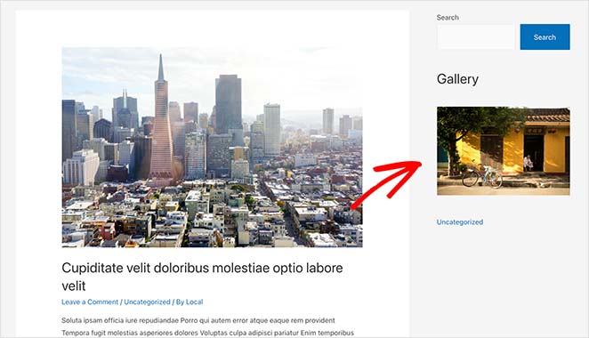 example-custom-WordPress-sidebar - SeedProd View your WordPress sidebar live on your website