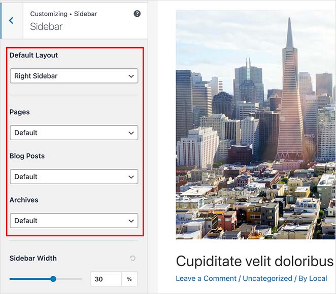 إعدادات تخطيط الشريط الجانبي - SeedProd customizer sidebar layout settings